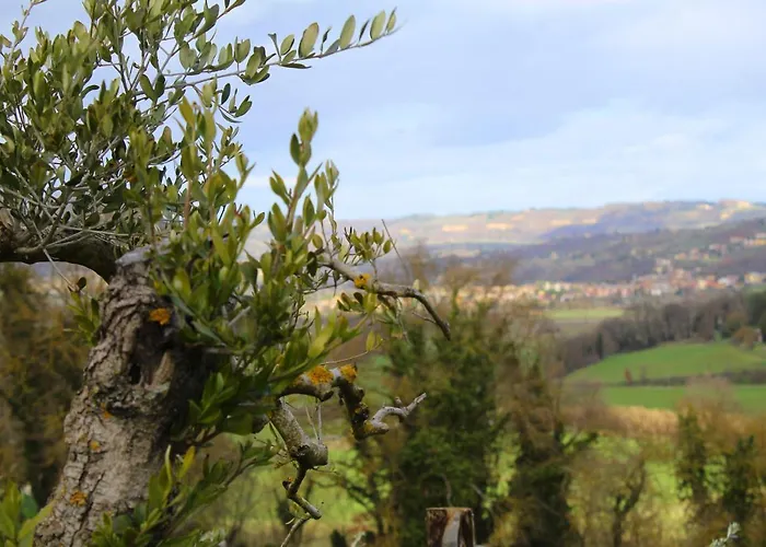 Bed & Breakfast Casale Il Ventaglio Ficulle